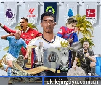 乐竞体育官网登录 APP（LJSPORTS）